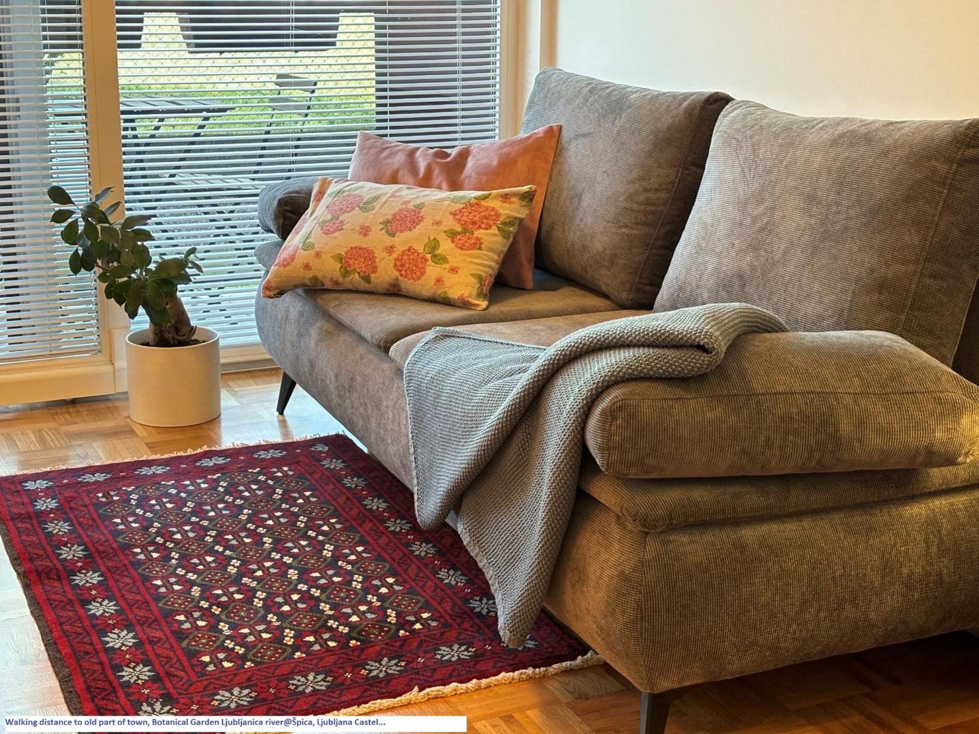 Ljubljanica Apartment ليوبليانا المظهر الخارجي الصورة